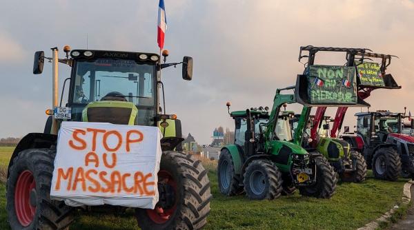 acordul mercosur eurodeputatii forteaza mana consiliului europei