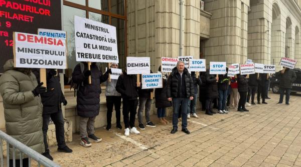 apa pe termen scurt revolta pe termen lung pusl cere demisia ministrei diana buzoianu