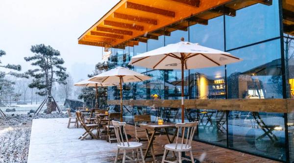 inovatie si eficienta incalzitoarele de terasa cu infrarosu si rolul lor in tranzitia ecologica