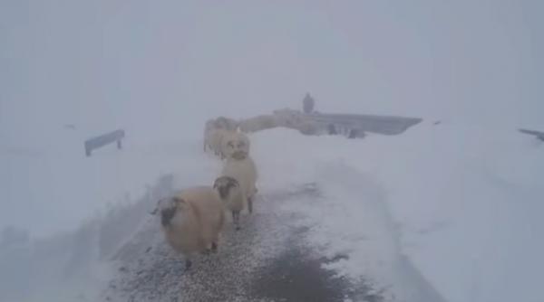 Viscol devastator în Gorj: Cabinet medical spulberat de furtună