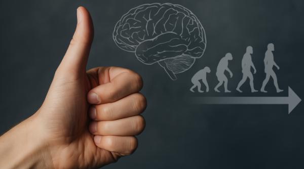 Cât de diferite sunt creierele bărbaților și ale femeilor. Ce arată studiile moderne și AI