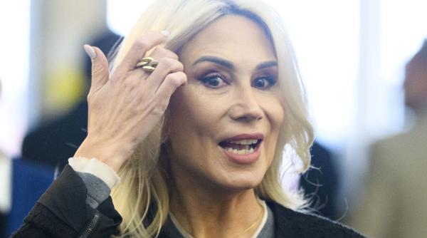 raluca turcan modificarea legii ccr blocaj deciziilor curtii