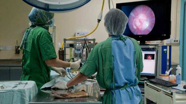 Medicii pot spune „Nu!” Noul An schimbă regulile pentru doctorii din România. Care sunt limitele „clauzei de conștiință” în medicină