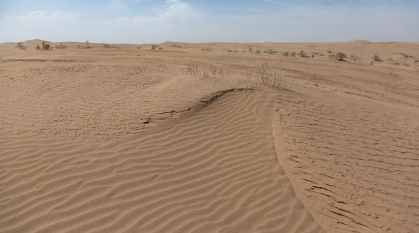 Arabia Saudită și Emiratele importă nisip din Australia, deși au deșerturi imense