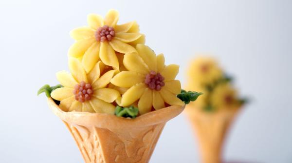 trucul gospodinelor cum prepari acasa extract vanilie