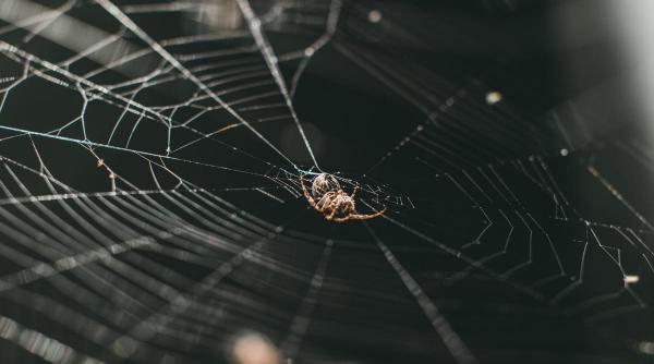 paianjen turisti vacanta europa