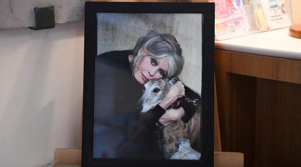 dezvaluirile sotului boala brigitte bardot ultimele luni ale actritei