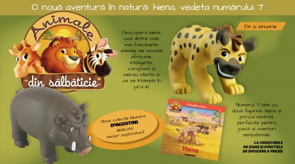 aventura in savana continua hiena vedeta numarului 7 din colectia animale din salbaticie