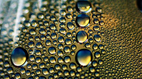 Iarnă fără mucegai: Ghidul complet contra umezelii din locuința ta