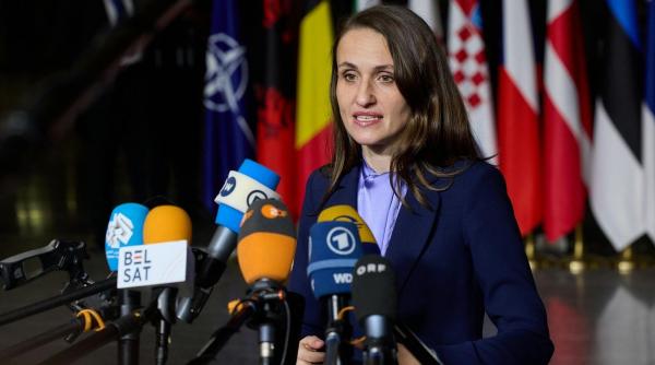 pusl demitere ministrului de externe oana toiu mercosur fermieri romani