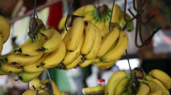 De ce să mănânci două banane pe zi? Beneficiile uimitoare pentru sănătate, de la imunitate la energie constantă