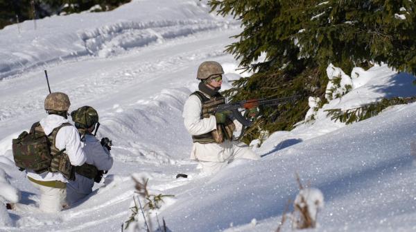 cine se poate inscrie in armata voluntarilor si cati bani poti castiga