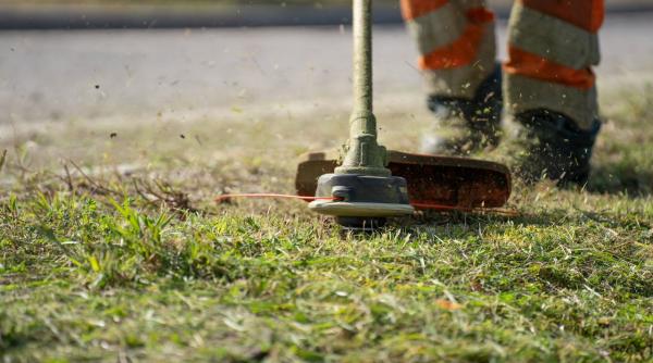 impozite locale primarie fritz sparge bani spatii verzi