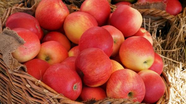 Proiect strategic pentru agricultură: undă verde pentru depozitele regionale de legume și fructe