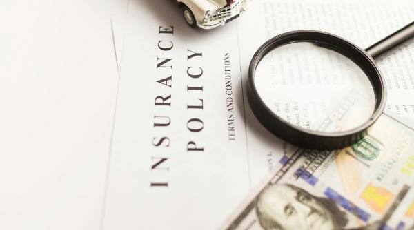 studiu deloitte incertitudinile globale presiunea clientilor asigurarile digitalizare 2026