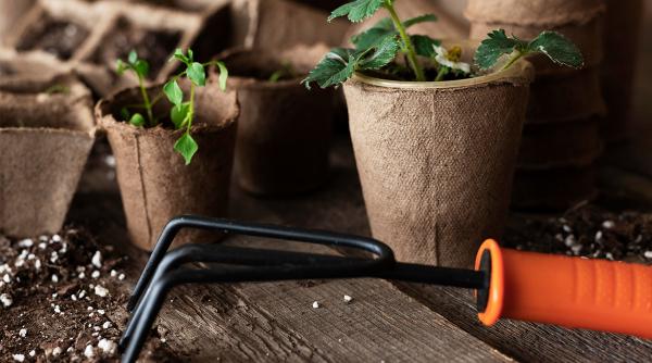 de ce lucrurile bine facute incep cu materialele potrivite