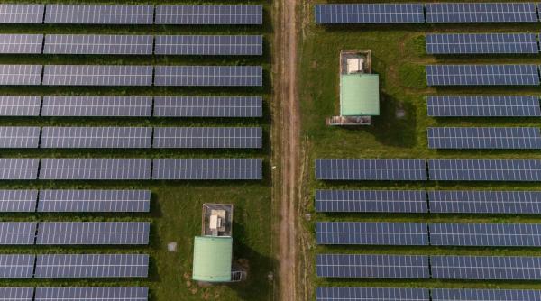 epc vs management intern ce aleg dezvoltatorii de parcuri fotovoltaice