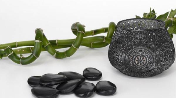 cum inmultesti bambusul norocos acasa