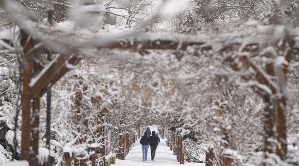 vreme contraste ultima luna iarna unde ger ninsoare