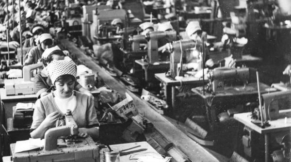 activitati economice bihor expozitie