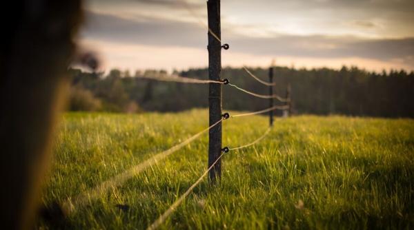 Ministerul Mediului cumpără garduri electrice pentru urși la preț de 6 ori mai mare decât cel real