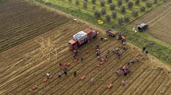 Agricultura României, în pragul unei crize majore: liderii din retail cer schimbări radicale