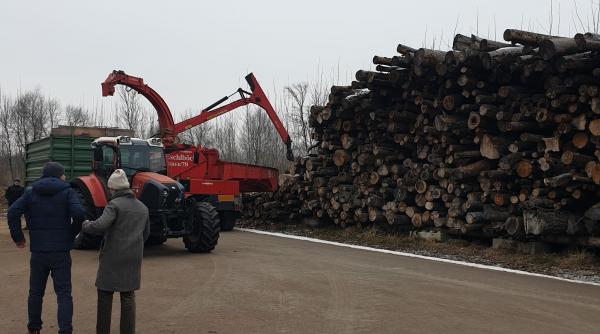 Biomasa, veriga lipsă din strategia energetică a României