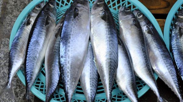 beneficii surprinzatoare sardinelor ghid dieta echilibrata