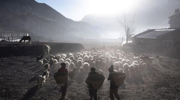 Evoluția umană nu s-a oprit: Cum s-au adaptat locuitorii din Tibet la condiții extreme