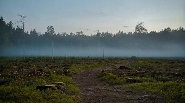 Cât costă birocrația? O comună din România a fost scoasă la licitație