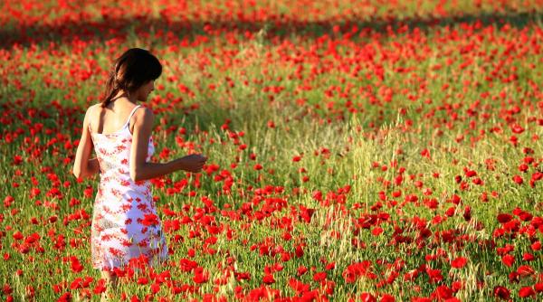 Horoscop 8 martie 2026: 3 zodii care atrag noroc și oportunități neașteptate