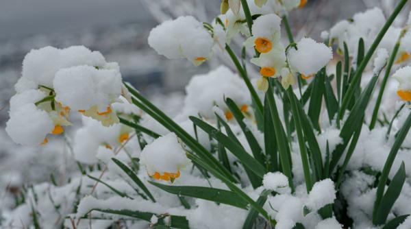 anm vremea se schimba iarna revine in martie ninsori romania