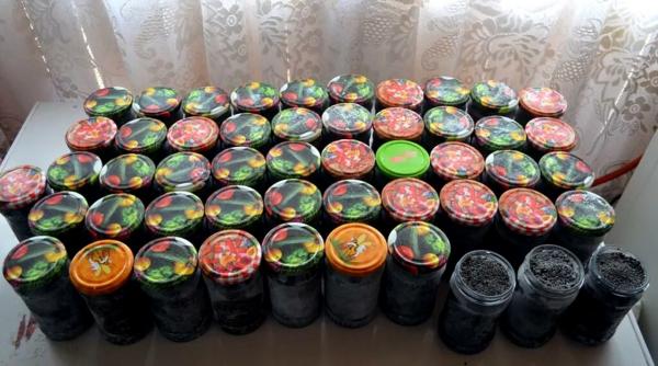 Captură uriașă în Constanța: Braconieri prinși cu icre negre și zeci de kilograme de sturion