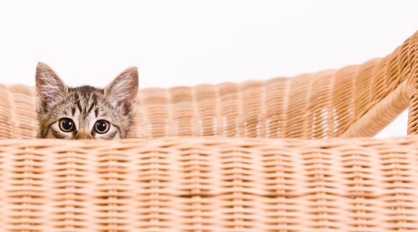 Personalitatea ascunsă a lunii tale de naștere: de ce martie, iulie, septembrie și octombrie sunt atât de diferite