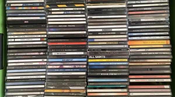 cd urile vechi cea mai ieftina metoda protejare gradina primavara