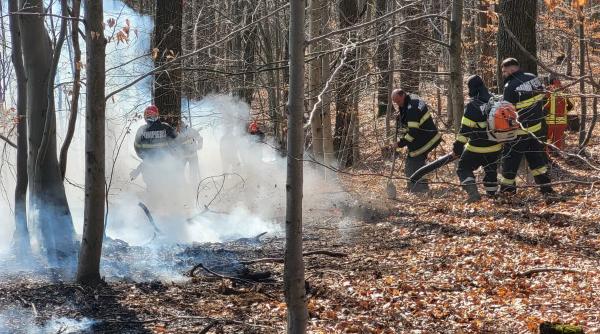 Incendiile de vegetație din Nănești și Racșa au fost lichidate