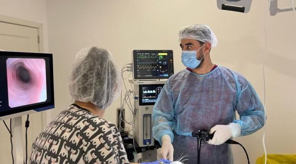 Beneficiile endoscopiei veterinare: o alternativă minim invazivă la intervențiile chirurgicale