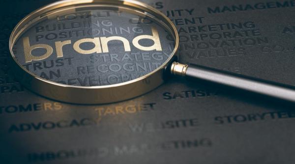 Cât te costă să creezi brandul companiei tale? Ghidul complet al opțiunilor din piață