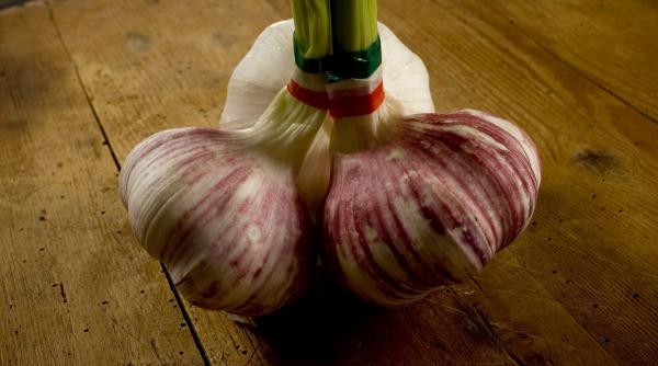 Adevărul despre usturoiul încolțit: Cum afectează preparatele culinare?