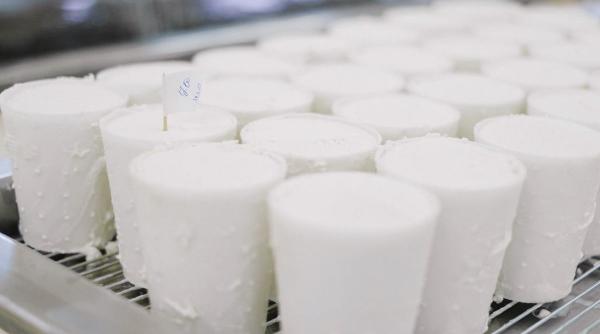 Cum să reduci consumul de apă și să tai costurile în secția ta de procesare a alimentelor