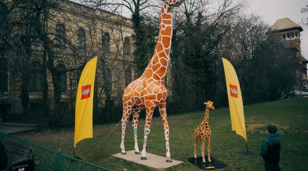 girafa antipa lego copii animale