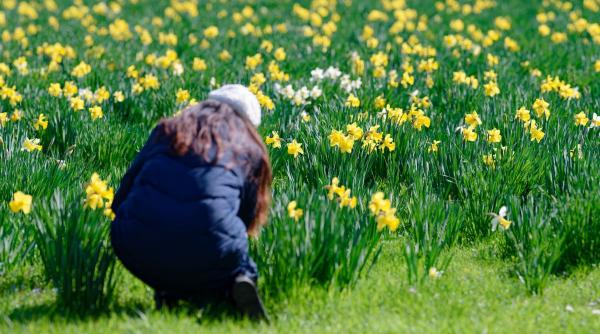 Zodiile norocoase în sezonul Berbecului 2026: cine dă lovitura primăverii