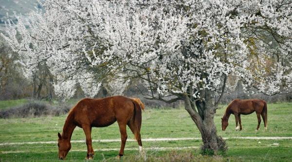 Horoscop zilnic 23 martie 2026: energii intense, decizii importante și surprize în dragoste pentru toate zodiile