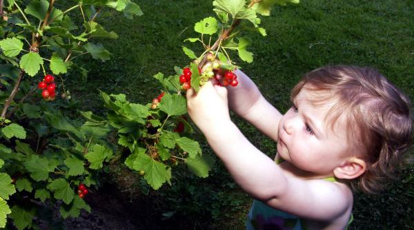 4 zodii atrag noroc și abundență pe 22 martie 2026: conjuncția Soare–Neptun schimbă destine