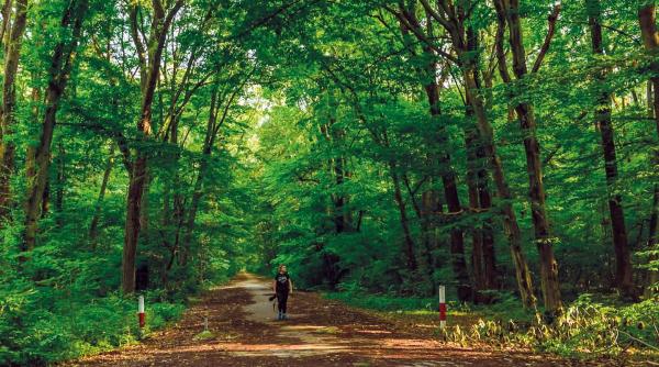 7.000 de locuitori vor merge pe potecă, spre un cartier de lux