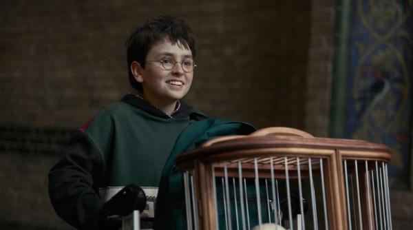 Harry Potter se întoarce! Când va avea premiera serialul