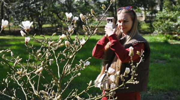 relatii primavara iubire transformari personale