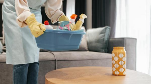 Fără stres și efort: Descoperă avantajele serviciilor oferite de Domestina