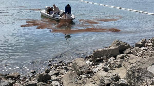 Poluare pe Dunăre la Turnu Măgurele: autoritățile au oprit apa potabilă și intervin de urgență