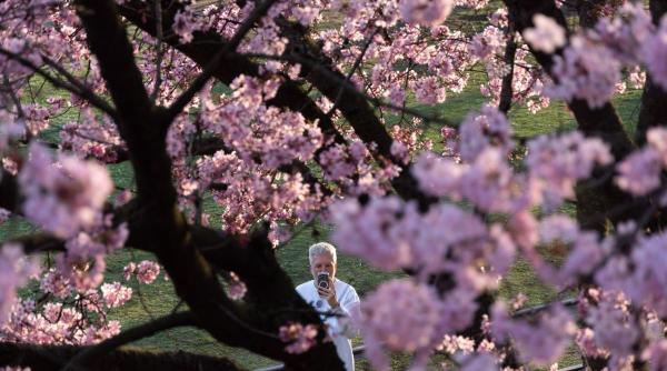 luna nasterii definitie succes personalitate